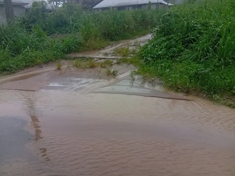 Brown storm runoff overflowing a roadside drainage channel and leaving rippled sand across the verge, with long grass on either side